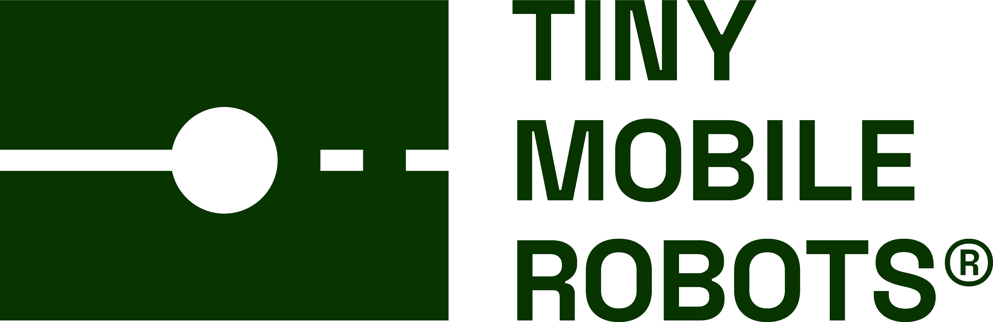 TinyMobileRobots